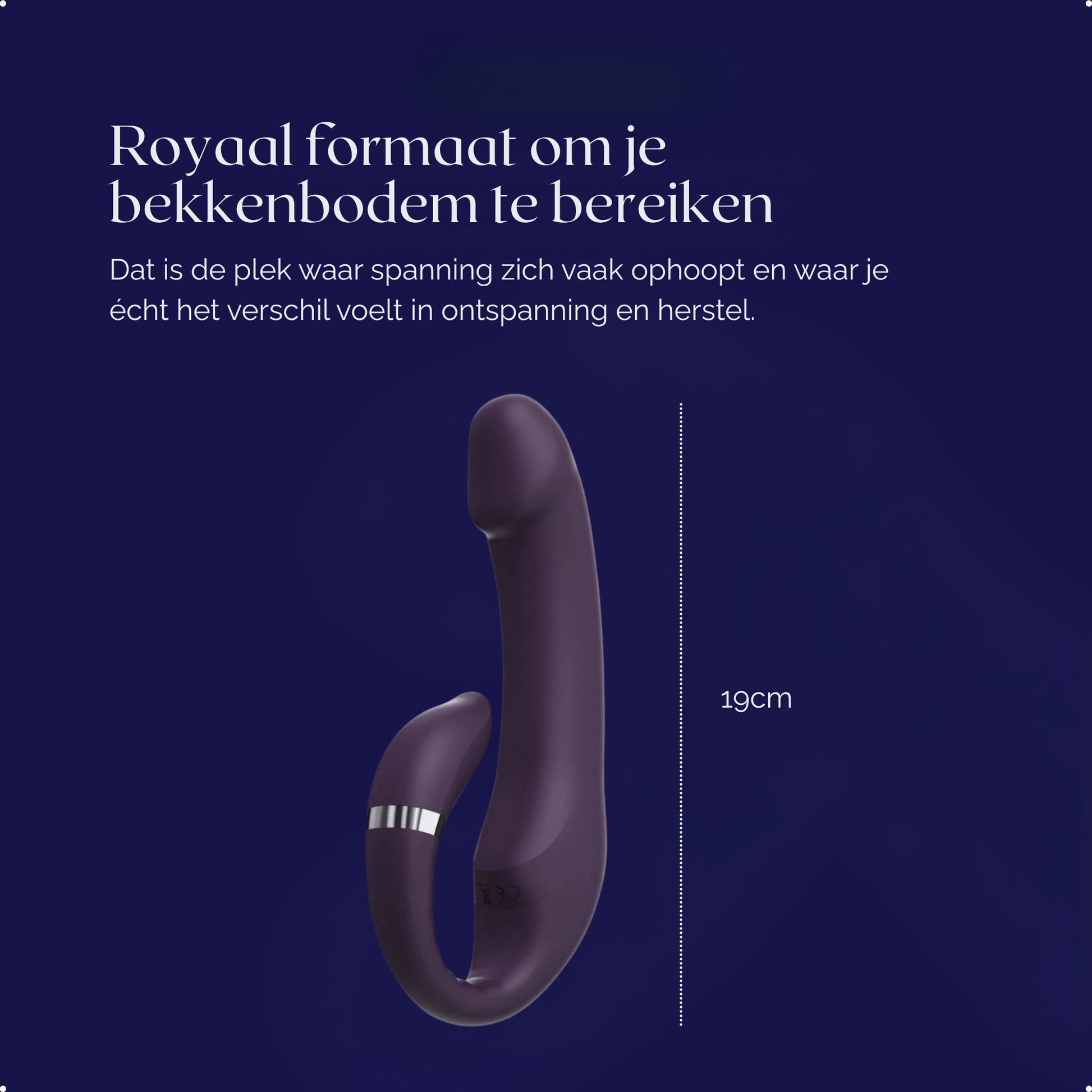 Libido Reset Vibrator - Bold - NUMY